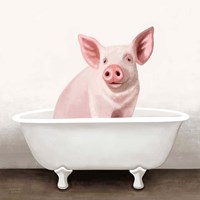 Pig in Bathtub Solo Framed Print