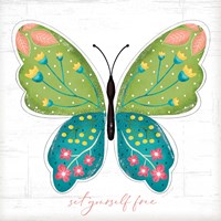 Set Yourself Free Framed Print