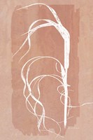 Fall Grasses No. 2 Fine Art Print