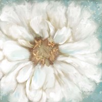 Zinnia I Framed Print