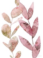 Meadow Flora Botanical I Fine Art Print