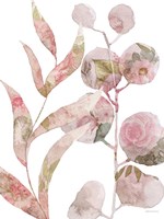 Meadow Flora Botanical II Fine Art Print