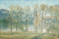 Peaceful Tree Line Fine Art Print