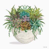 Succulent on White II Fine Art Print