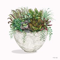 Succulent on White III Fine Art Print