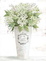 Les Fleurs Hortensia Fine Art Print