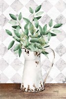 Eucalyptus White Tin Pitcher Fine Art Print