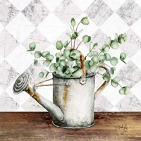 Eucalyptus White Watering Can Fine Art Print