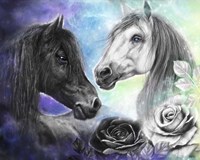 Opposites Attract - Light and Dark Horse Fine Art Print