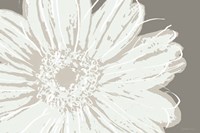 Flower Pop Sketch III-Greys Fine Art Print