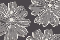 Flower Pop Sketch V-Shades of Grey Fine Art Print