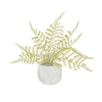 Potted Fern I Fine Art Print
