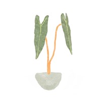 Philodendron Billietiae I Fine Art Print