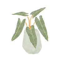 Philodendron Billietiae II Fine Art Print