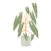Philodendron Billietiae III Fine Art Print