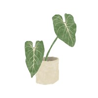 Philodendron Gloriosum I Fine Art Print