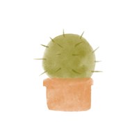 Watercolor Cactus III Fine Art Print