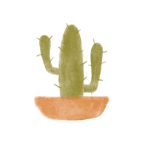 Watercolor Cactus V Framed Print