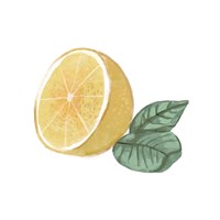 Citrus Limon IV Framed Print