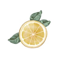 Citrus Limon V Framed Print
