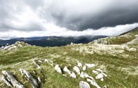 Mountain Majesty Fine Art Print