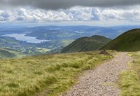 Green Overlook Fine Art Print