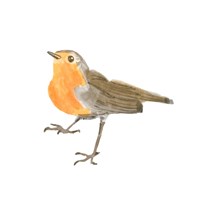 Songbird II Fine Art Print