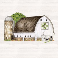 Spring & Summer Barn Quilt IV Framed Print