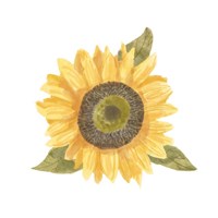 Single Sunflower I Framed Print