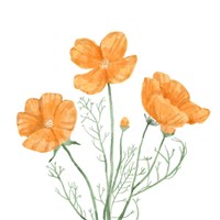 Wildflower Group III Fine Art Print