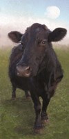 Funky Cow II Fine Art Print