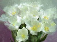 Sunlit Tulips Fine Art Print