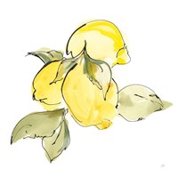 Lemons I Framed Print