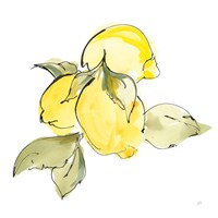 Lemons I Fine Art Print