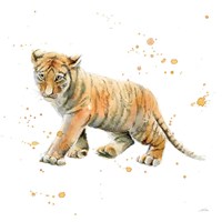 Tiger Cub Framed Print