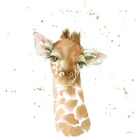 Baby Giraffe Framed Print