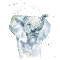 Baby Elephant Framed Print