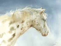 Dapple Gray Horse Fine Art Print
