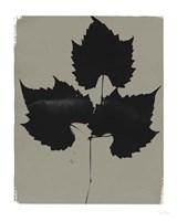 Nature by the Lake Leaves I Gray Fine Art Print