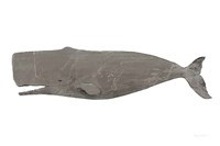 Whale on White Fine Art Print