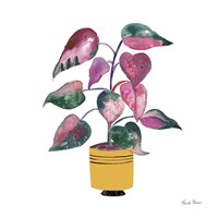 Potted Jewels II Fine Art Print