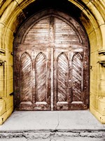 Golden Cathedral Door I Fine Art Print