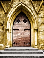 Golden Cathedral Door II Fine Art Print