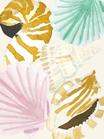 Seashell Collage Fine Art Print