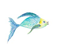 Yellow and Blue Fish I Fine Art Print