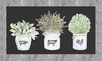 Potted Farm Arrangement Trio on Chalkboard Fine Art Print