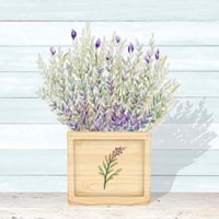 Lavender and Wood Square III Framed Print
