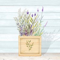 Lavender and Wood Square IV Fine Art Print