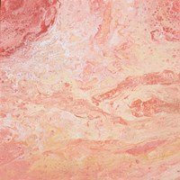 Modern Peach Flow II Fine Art Print