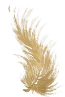 Gold Feather II Fine Art Print